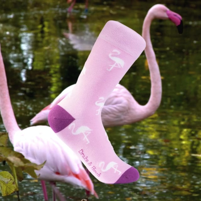 Pink & White ''Flamingo Hot'' Organic Cotton Summer Socks